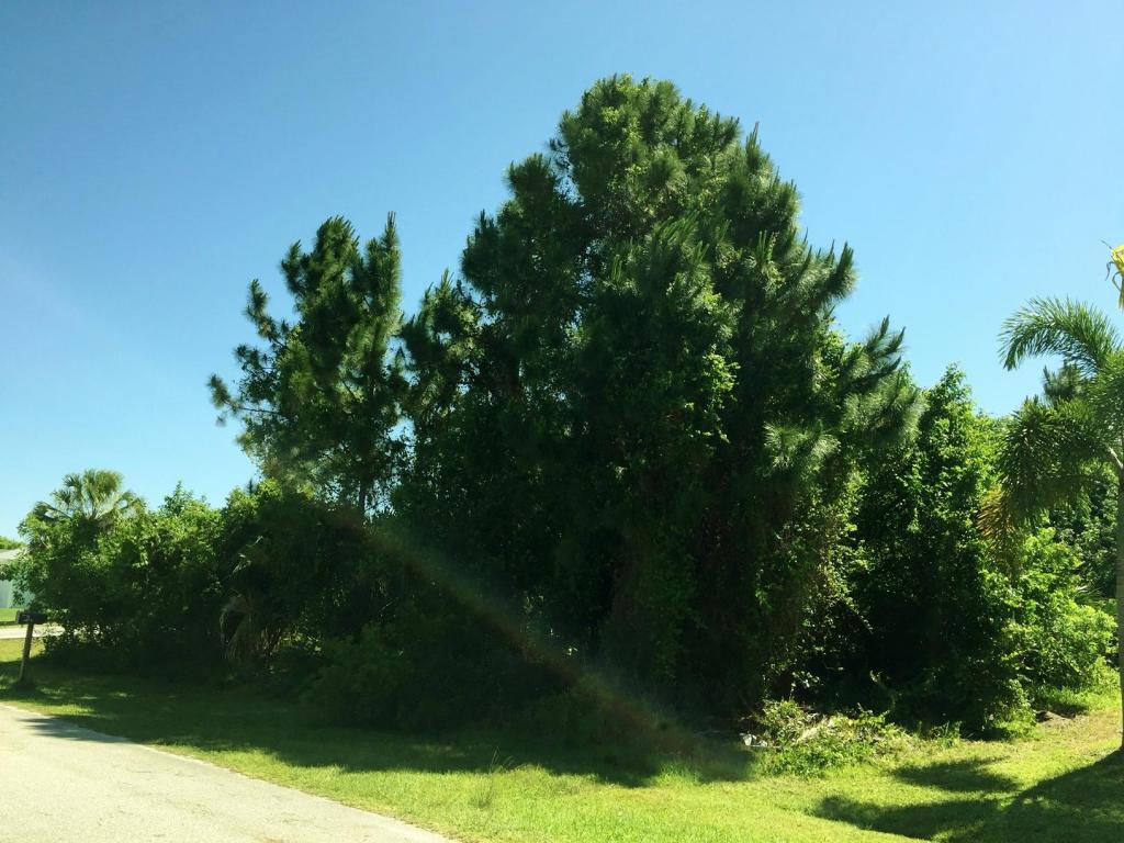 3173 SW Fambrough Street, Port Saint Lucie, FL 34953