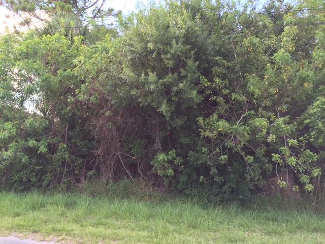 1133 SW Ackard Avenue, Port Saint Lucie, FL 34953