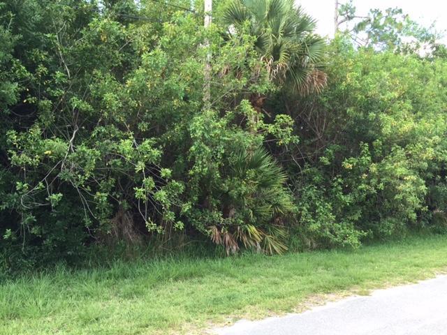 1133 SW Ackard Avenue, Port Saint Lucie, FL 34953
