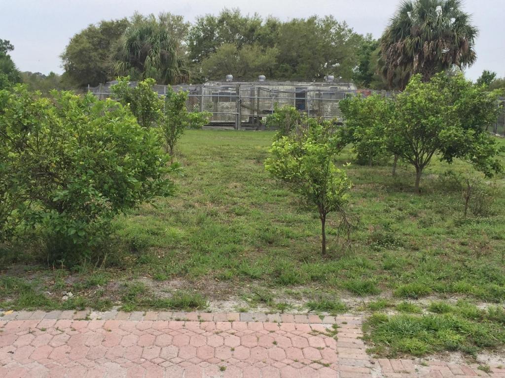 0 SW Arrowroot Street, Indiantown, FL 34956