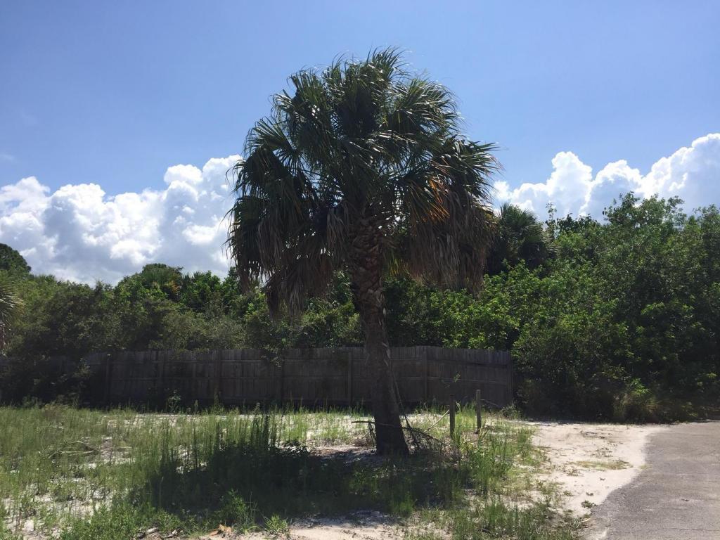 1100 NE Olive Street, Jensen Beach, FL 34957