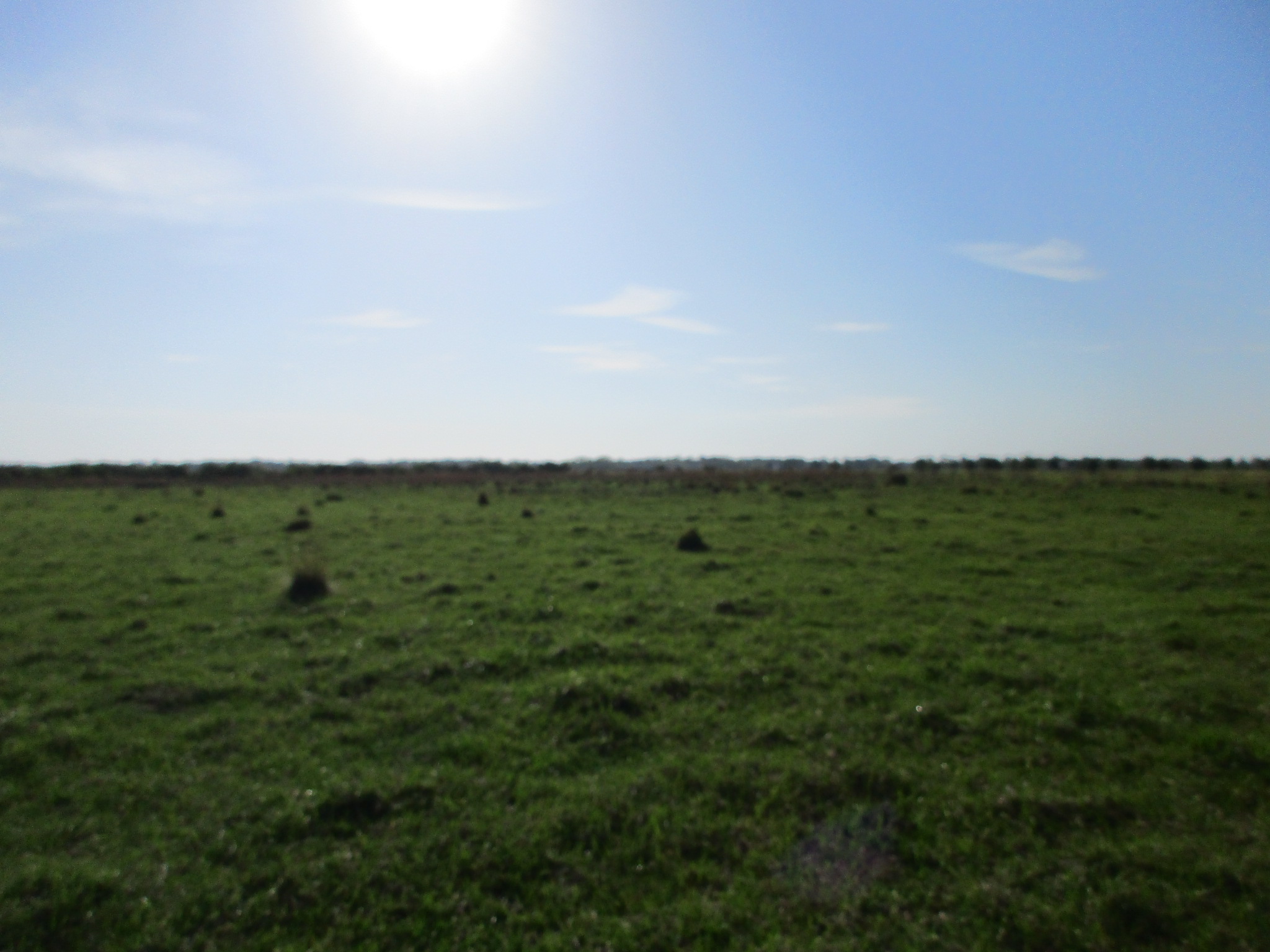 27870 NE 48th Ave., Okeechobee, FL 34972