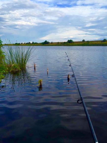 8190 HWY 441 SE ,FL, Okeechobee, 34974