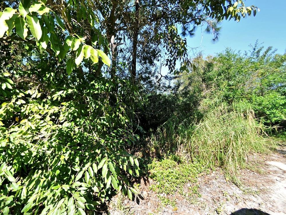 Tbd Oleander Av Ave, Fort Pierce, FL 34981