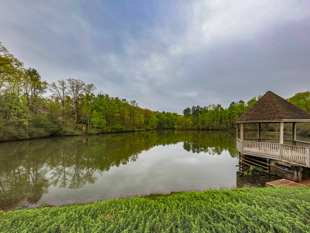 875 Dockbridge Way, Milton, GA 30004