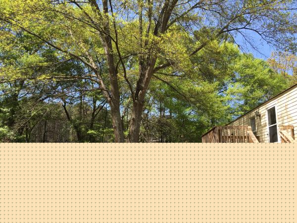 The Meadows Mobile Home Community 147 west meadow lane swConyers, GA 30012