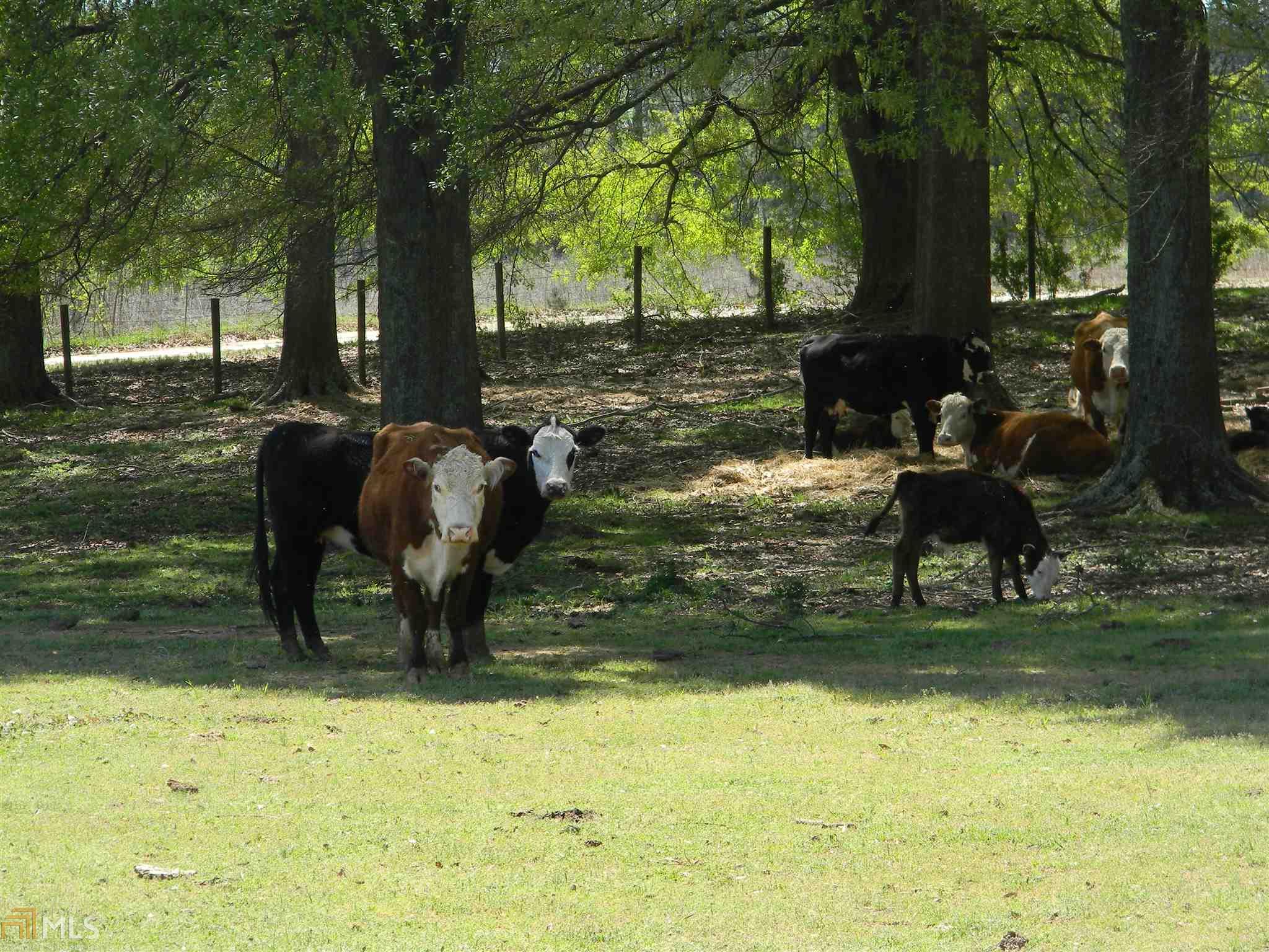 1600 Willow Grove Ln, Social Circle, GA 30025