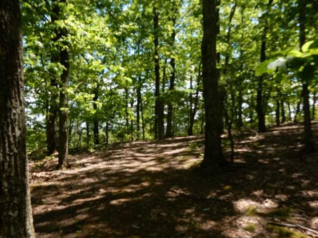 0 Barnes Mill Rd, Marietta, United States 30062