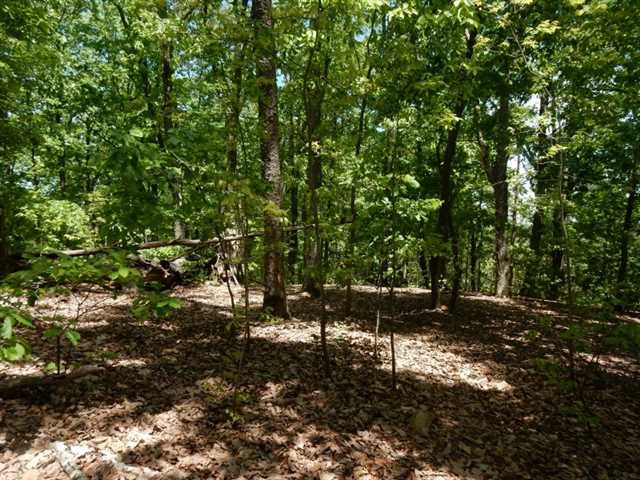 0 Barnes Mill Rd, Marietta, United States 30062