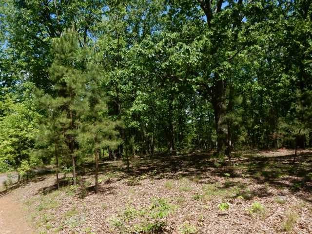 0 Barnes Mill Rd, Marietta, United States 30062