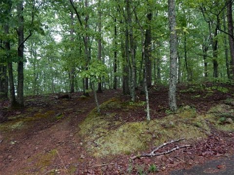 0 Barnes Mill Road, Marietta, United States 30062