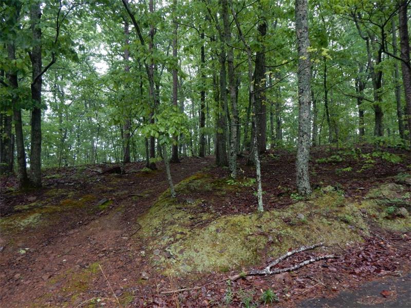 0 Barnes Mill Road, Marietta, United States 30062
