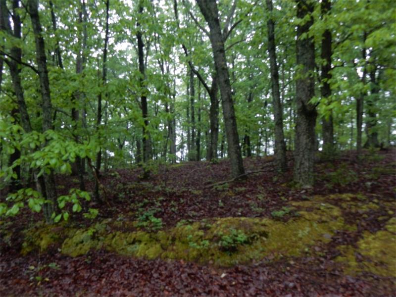 0 Barnes Mill Road, Marietta, United States 30062