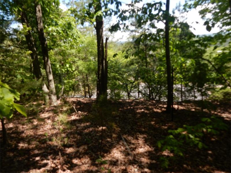 0 Barnes Mill Road, Marietta, United States 30062