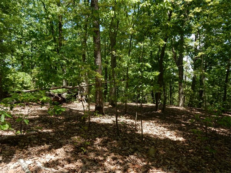 0 Barnes Mill Road, Marietta, United States 30062