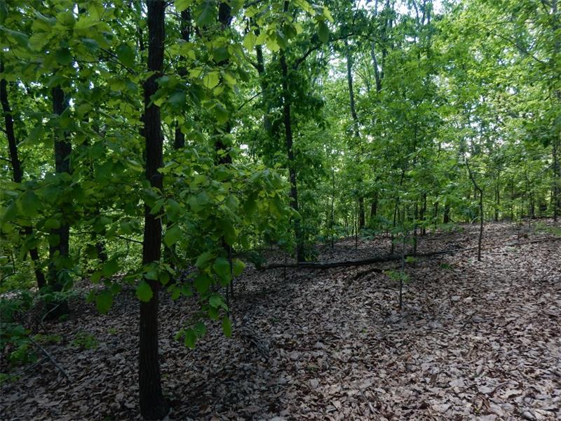0 Barnes Mill Road, Marietta, United States 30062