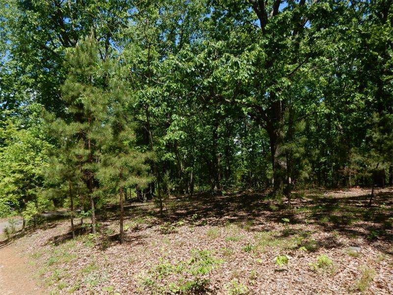 0 Barnes Mill Road, Marietta, United States 30062