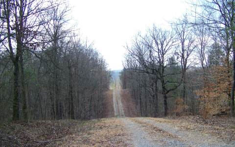 148AC RAVENCLIFF ROAD, Talking Rock, GA 30175
