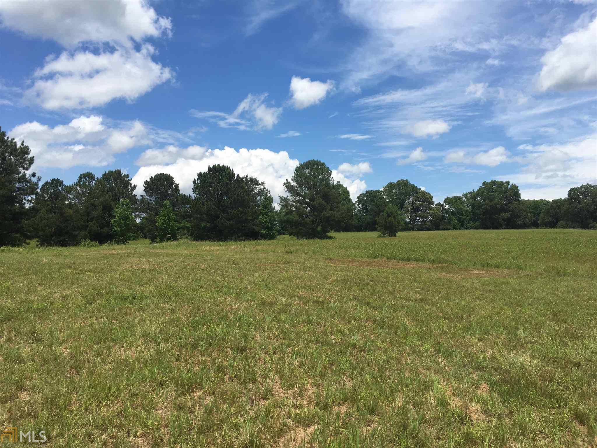 2022 Woodcreek Rd, Williamson, GA 30292