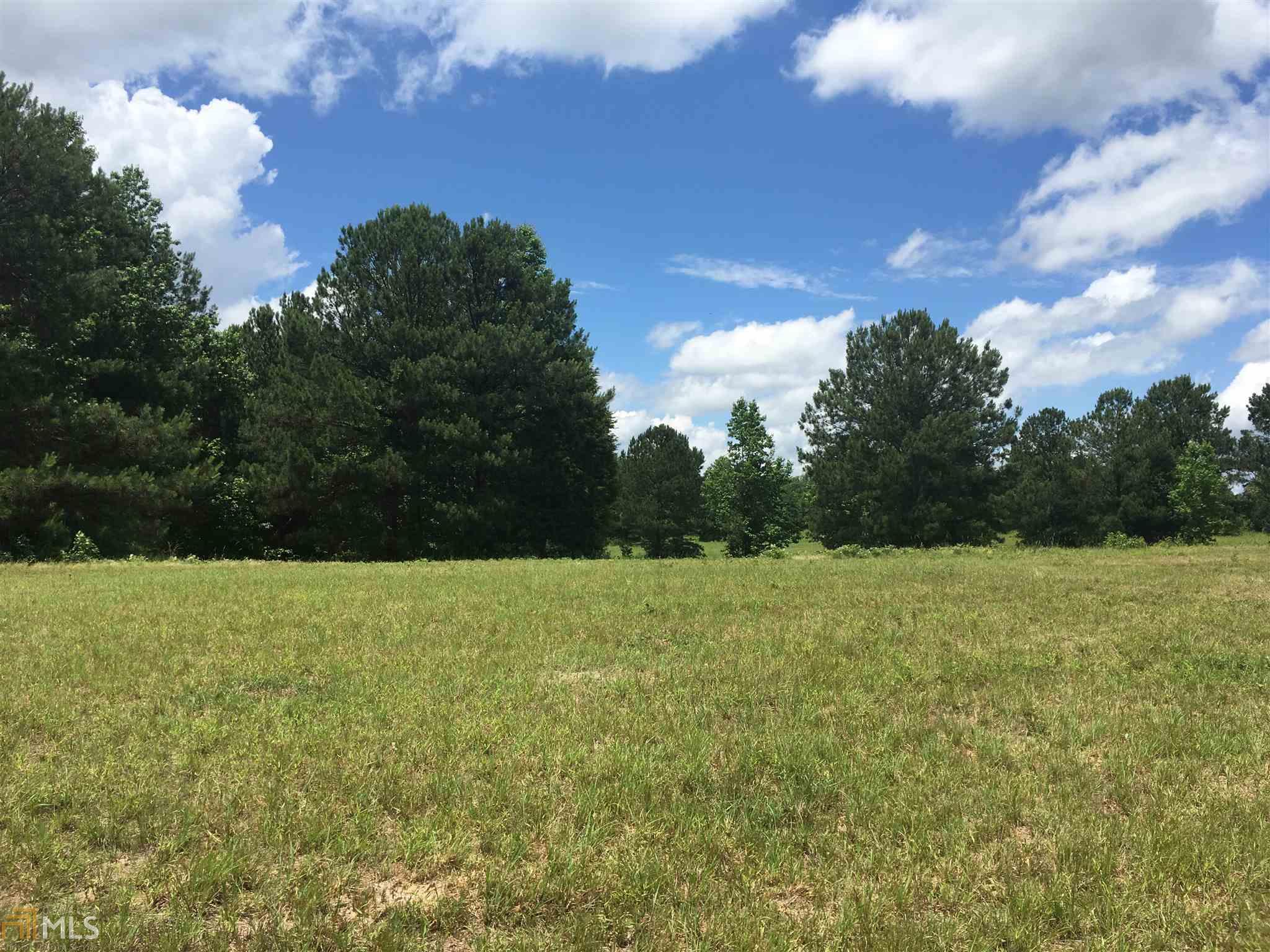 2022 Woodcreek Rd, Williamson, GA 30292