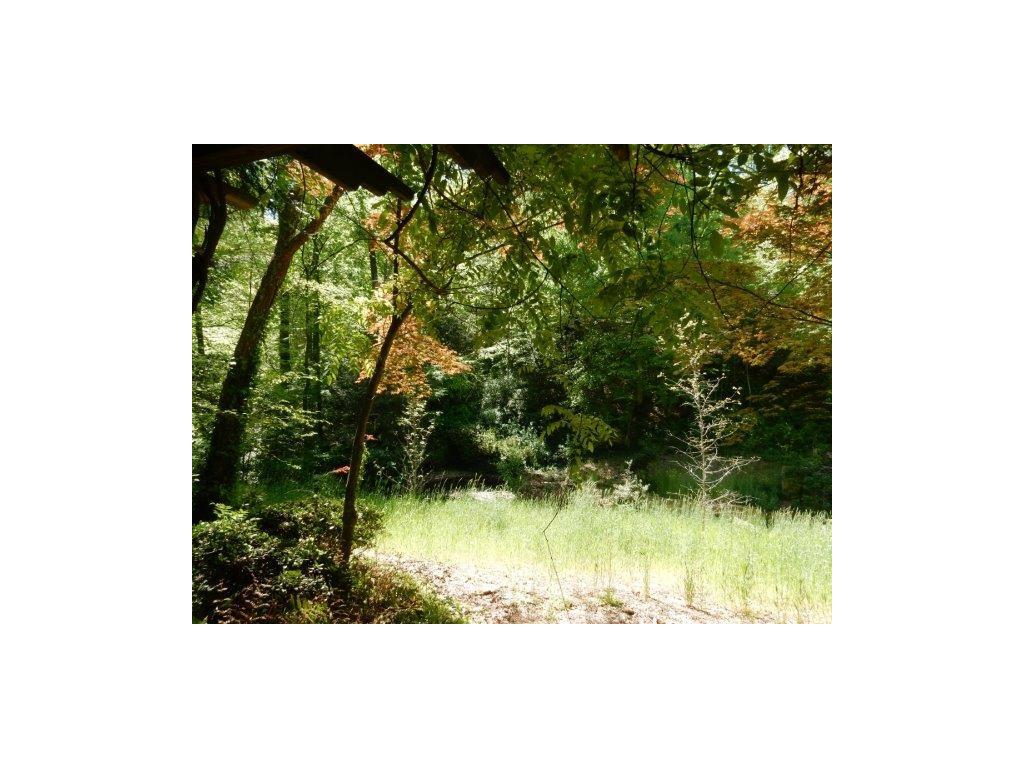 3620 Knollwood Drive, Atlanta, GA 30305