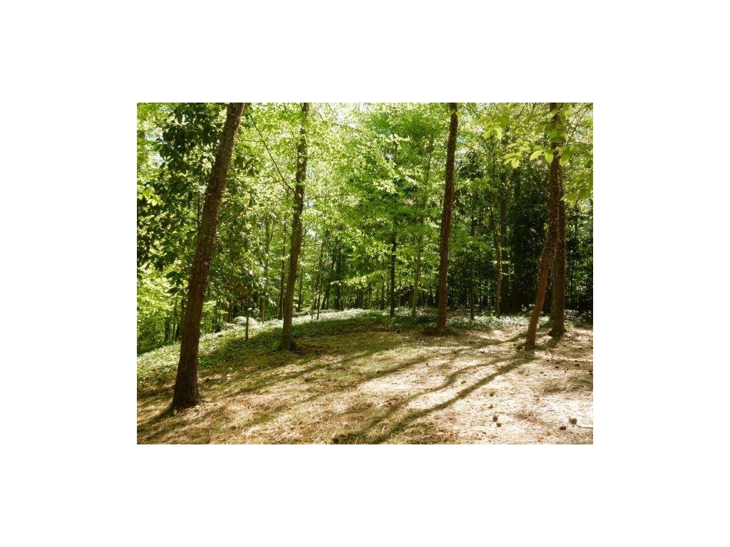 3620 Knollwood Drive, Atlanta, GA 30305