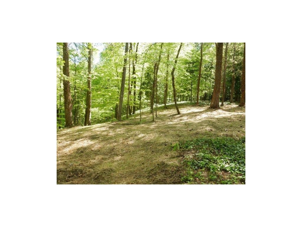 3620 Knollwood Drive, Atlanta, GA 30305