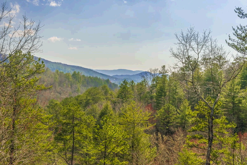 181 Spirit Wind Ct, Blue Ridge, GA 30513