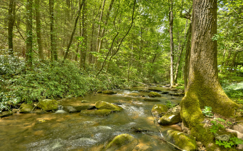 2411 STANLEY CREEK ROAD, Blue Ridge, GA 30513