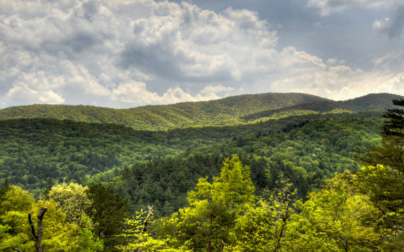 992 RIVER BEND LANE, Blue Ridge, GA 30513