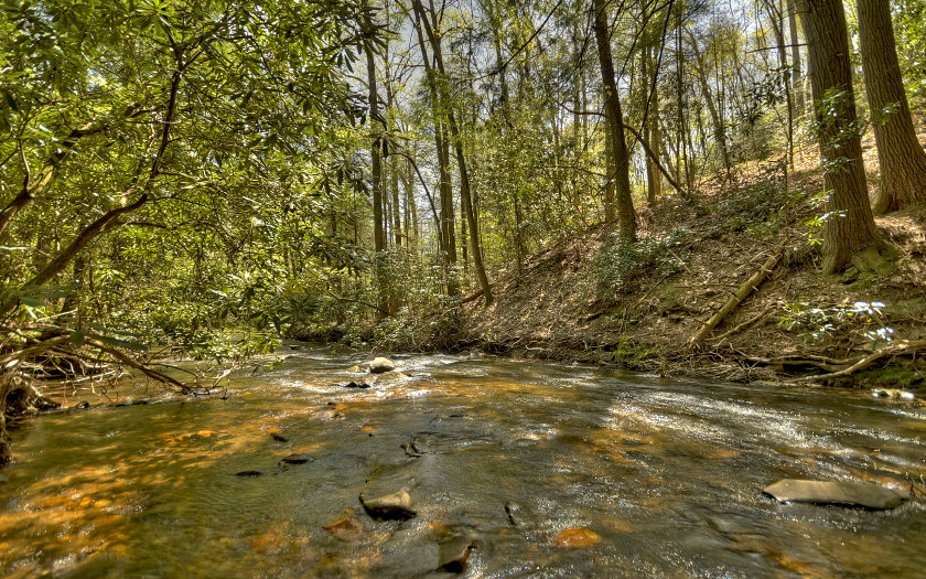 1752 CASHES VALLEY LANE, Cherry Log, GA 30522