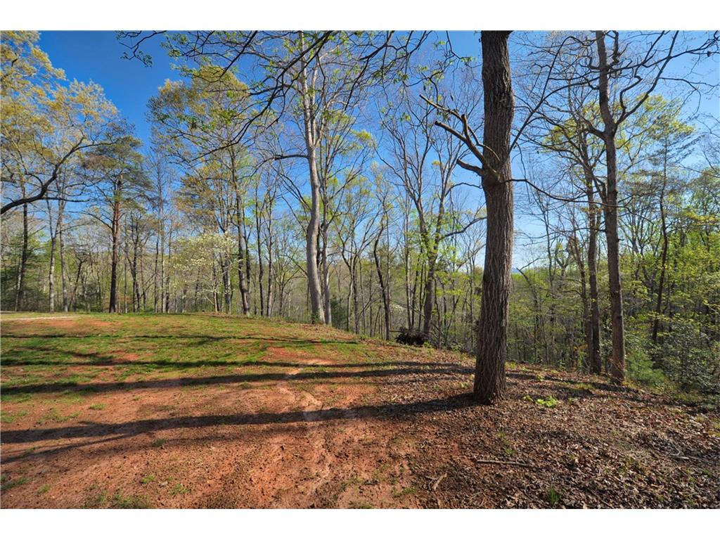 1720 Porter Springs Road, Dahlonega, GA 30533