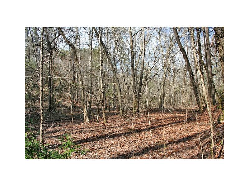 40+ac Castleberry Bridge Road, Dahlonega, GA 30533