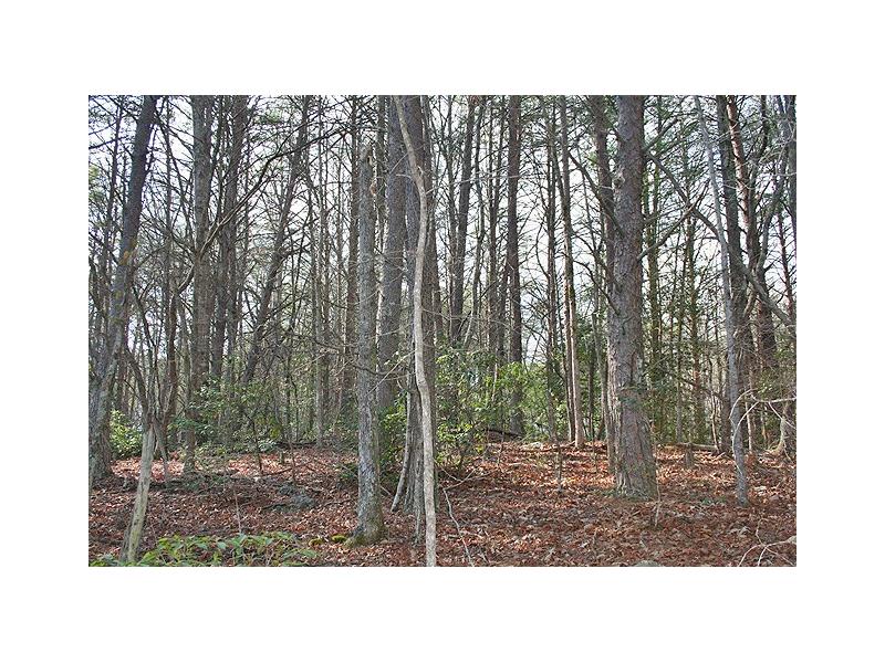 40+ac Castleberry Bridge Road, Dahlonega, GA 30533