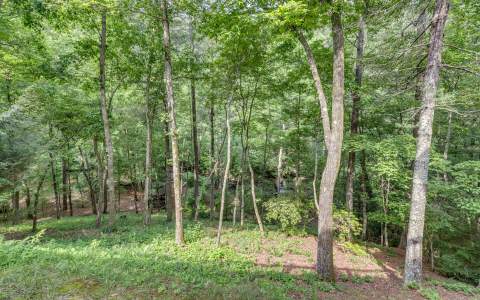 382 QUAIL RUN CT., Ellijay, GA 30536
