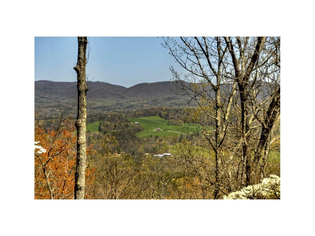 312 Mollie Mountain Trail, Ellijay, GA 30536