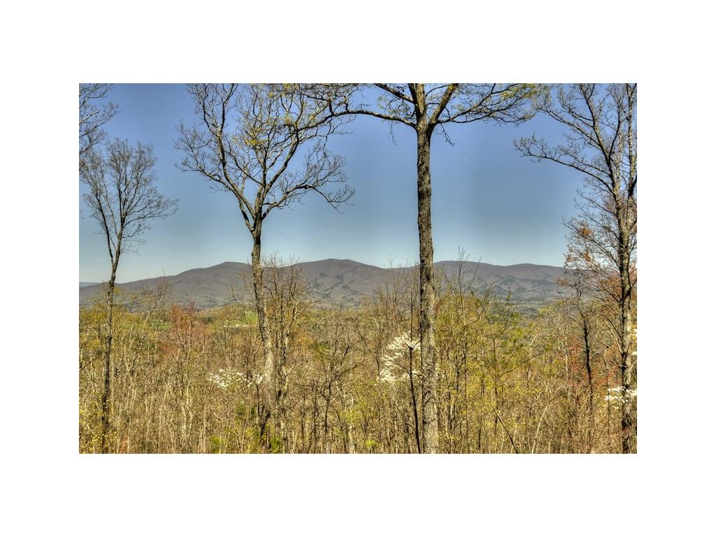 312 Mollie Mountain Trail, Ellijay, GA 30536