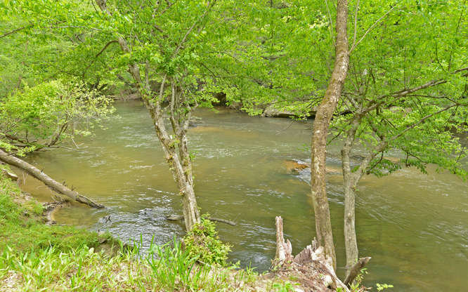 182 PAUL'S LANE, Ellijay, GA 30536