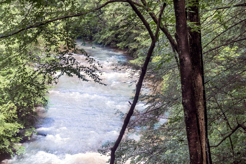 202 Whitewater Falls Trail, Ellijay, GA 30540