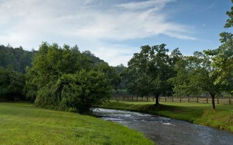 445 HIDDEN VALLEY TRAIL, Ellijay, GA 30540