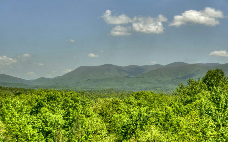 134 FLAGPOLE CIRCLE, Ellijay, GA 30540