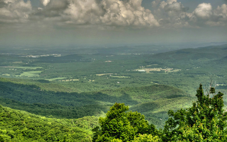 9329 HWY 52, Ellijay, GA 30540
