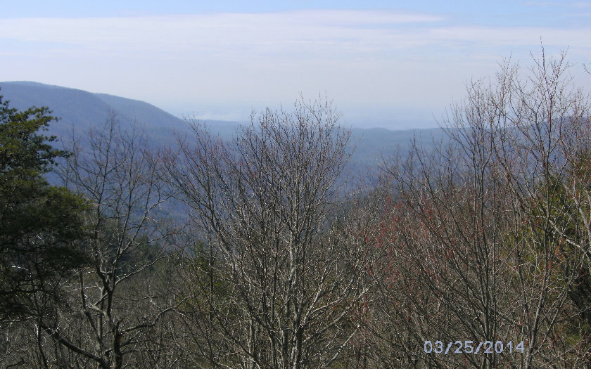 TATUM LEAD ROAD, Ellijay, GA 30540