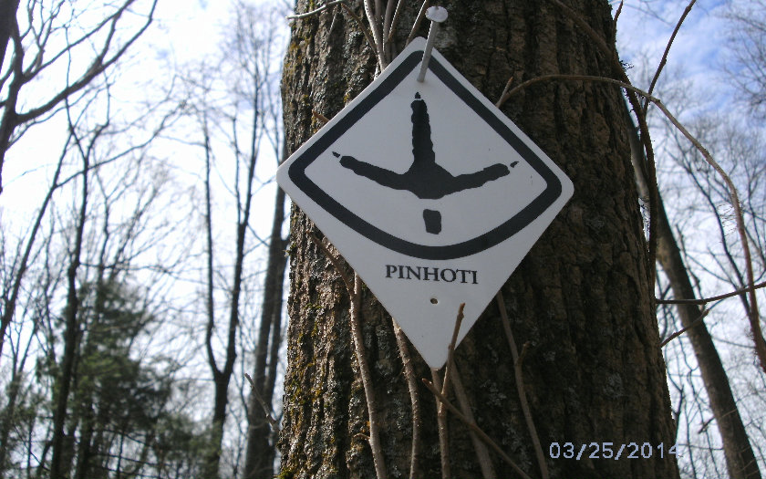 TATUM LEAD ROAD, Ellijay, GA 30540