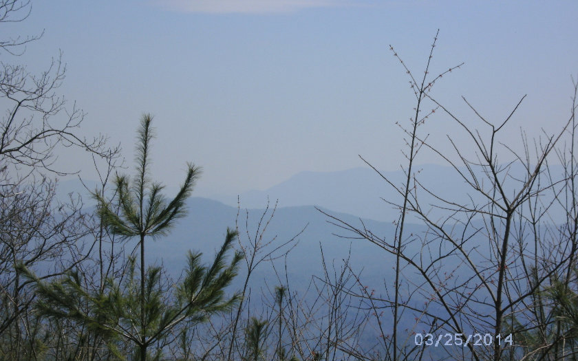 TATUM LEAD ROAD, Ellijay, GA 30540