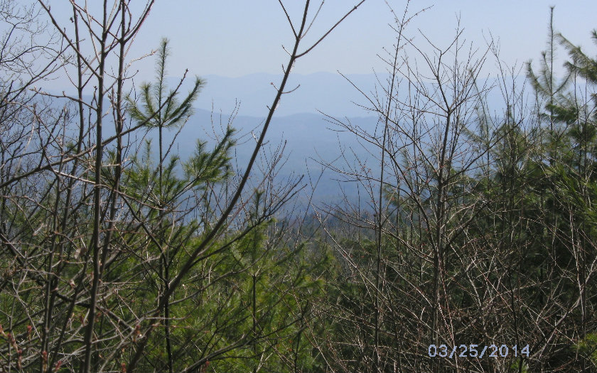 TATUM LEAD ROAD, Ellijay, GA 30540