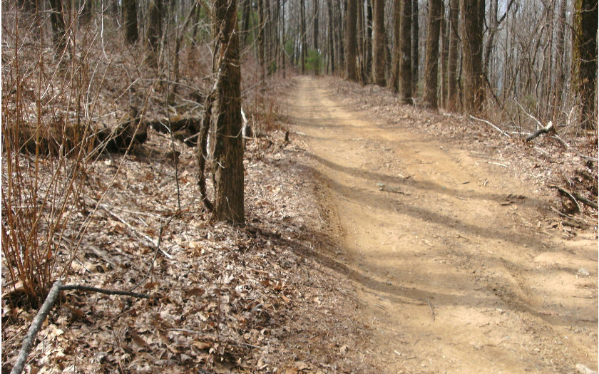 TATUM LEAD ROAD, Ellijay, GA 30540