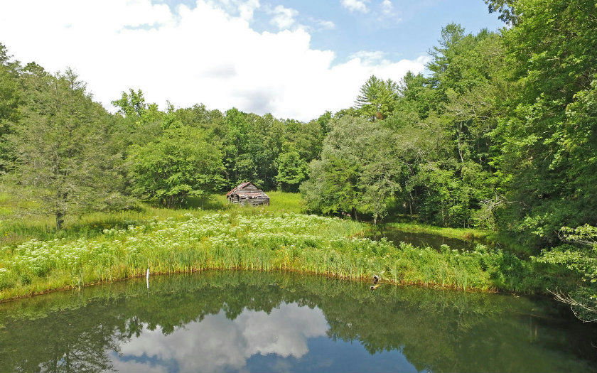 6889 BAREFOOT COVE, Hiawassee, GA 30546