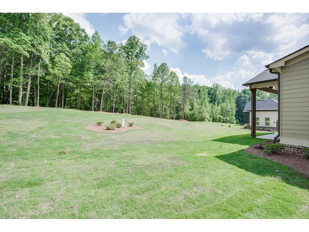 233 Scenic Falls Boulevard, Hoschton, GA 30548