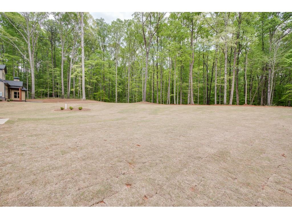 171 Scenic Falls Boulevard, Hoschton, GA 30548